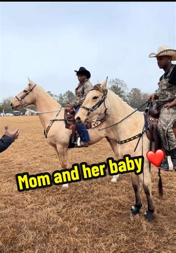 Understanding How Horses Grow: From Foal to Adult