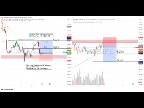 Live GOLD And GBPJPY Trade Setup 05 January 2025