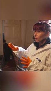 Exploring a hoarders home