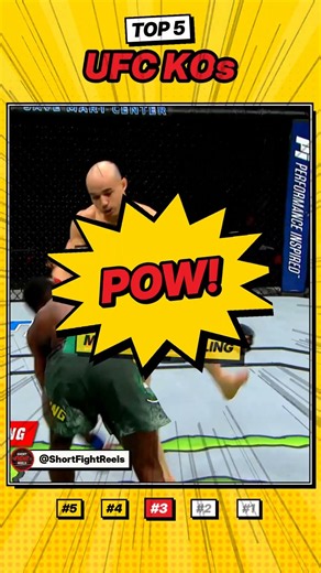 Top 5 UFC Legends' KOs 🥊 #1 Is a FRONT KICK