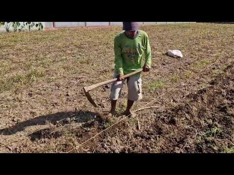 SATISFYING FARM WORK! WATCH THIS SOIL TRANSFORMATION! - Agricultural Farming