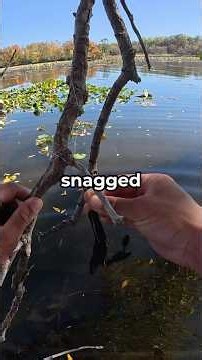 Fishing using lures we find snagged