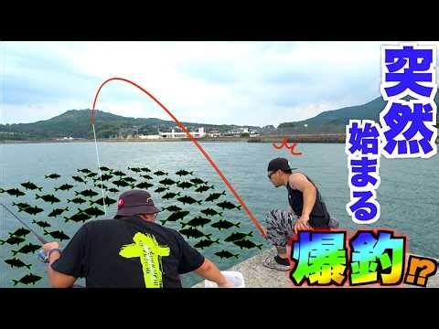 静かな海に突然の魚群が！？