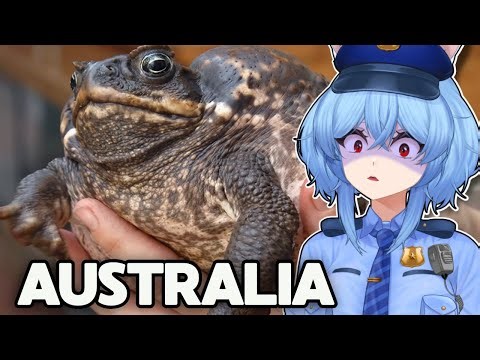 Reacting to The Toad that BROKE Australia | More Parz Reaction
