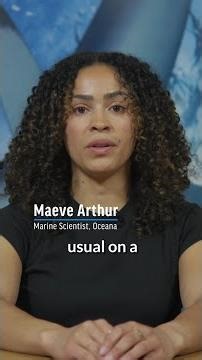 Major Oil Spills in U.S. History: Deepwater Horizon