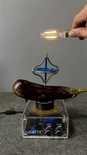 Tesla Coil Power With Eggplant #LightningE #TeslaCoil #HighVoltage #ViralShorts