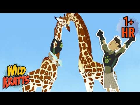 Stuck in a Giraffe Suit | Creature Rescue | Wild Kratts