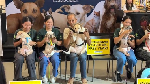LOOK: The Philippine Animal Welfare Society (PAWS) renewed its call on Sunday, December 28, to ban and avoid the use of firecrackers ahead of New Year 2026 to protect pets and other animals. Several pets were also featured in an “Opalite” dance cover as part of the group’s advocacy campaign to highlight the issue. PAWS stressed that animals are the “number one victims” of firecrackers due to their highly sensitive hearing, which can cause extreme fear, stress, and even injuries. | via Francis Or