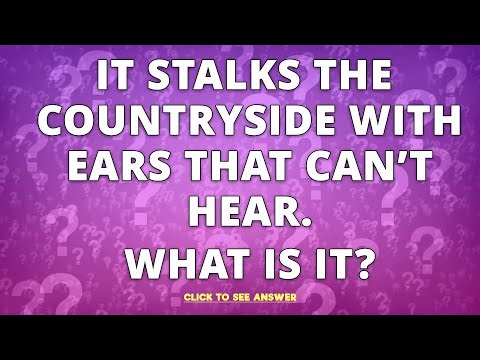 Solve this riddle and play our quiz