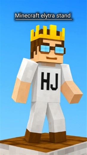 Minecraft Elytra Stand Hack (No Mods)