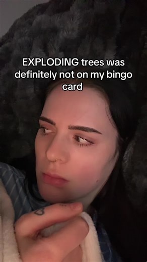 The Cold Weather Phenomenon of Exploding Trees