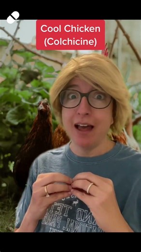 🎬🐥Skit - Colchicine: Pharmacology SHORT | @LevelUpRN