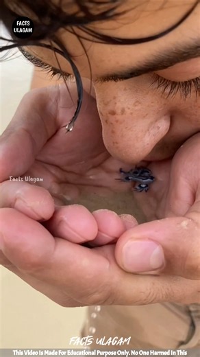 Blue Dragon Fish Gives an Unexpected Surprise!😊| Facts Ulagam_#shorts