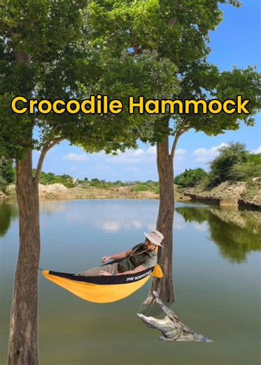 Crocodile in hammock #haha #laugh #comedу #wildlife #animals | animals