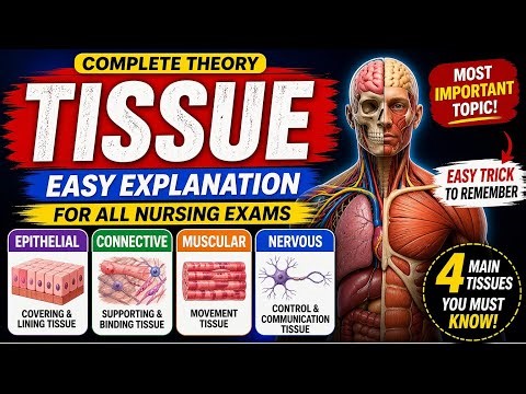 Tissue One Shot Quick Revision| For All Nursing Exams 