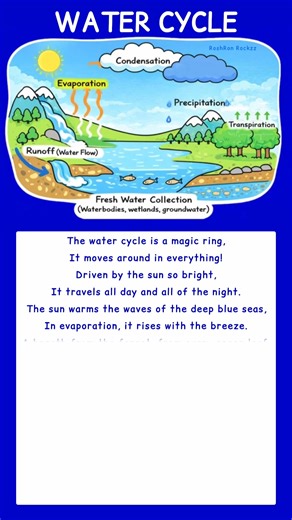 The Water Cycle Explained with Drawing & Poem for Easy Learning and School Projects #roshronrockzz