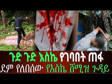 አድካሚ የሆነው የእስኬ ፍለጋ ሁኔታ ዴቭ እና አቤል አስደንጋጭ የሆነ ደም እና የእስኬን ልብስ አገኙ 