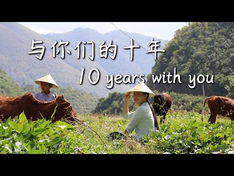 Ten Years of Making Videos — There Are a Few Things I Want to Say to You…【滇西小哥】