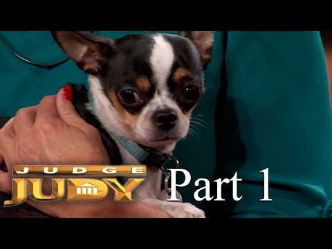 Judge Judy Gets Tough on “Fibber” Witness | Part 1