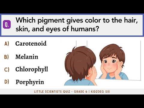 Little Scientists Quiz for Grade 6 | 20 Science Questions for Curious Minds | Middle School Learning