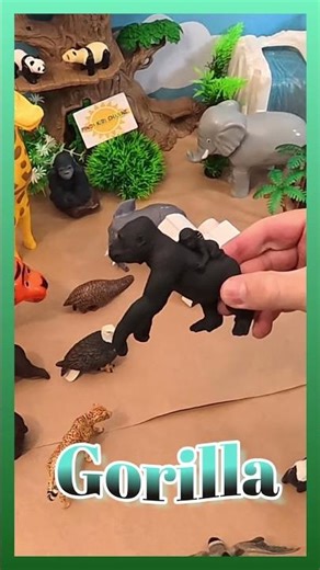 Gorilla Baby Fun Facts! 👶 Learn About Mama Gorillas! Green Grabber Toy Rescue!