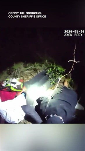 3 Teens, 12-year-old Arrested in Ruskin After Leading Deputies on Chase in Stolen Car: HCSO