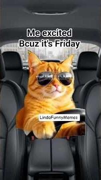 Excited it's Friday . funny memes . #shorts #shortsfeed #Friday #tgif #memecut