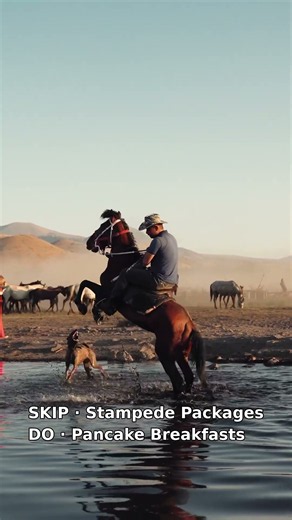 Calgary in 60 Seconds: Gateway to the Rockies Without the Resort Markup #shorts
