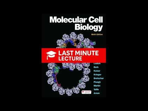 Genes, Chromatin & Chromosomes | Chapter 7 – Molecular Cell Biology (9th)
