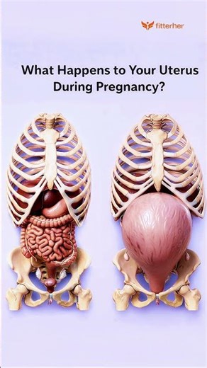 Pregnancy expands your uterus 500×. Recovery needs the right support.