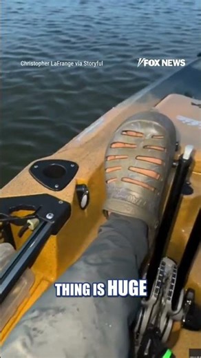 WATCH: MASSIVE bull shark ROCKS kayaker #shorts #viral #ocean