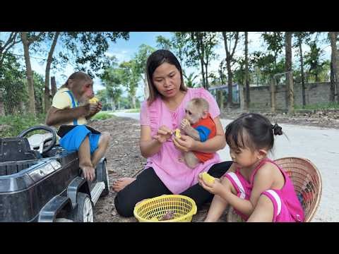 Full Buem & Cutis Compilation | Precious Moments Picnic Outside with Family