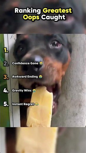 Ranking Greatest Oops Caught 😂💥 || #greatestoops #caughtoncam ‪@Chaos_Countdown‬