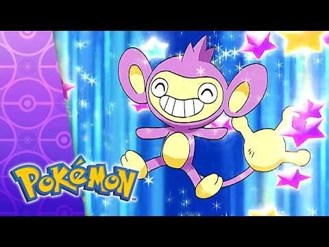 Mounting A Coordinator Assault! | POKÉMON FULL EPISODE 11 | Season 10