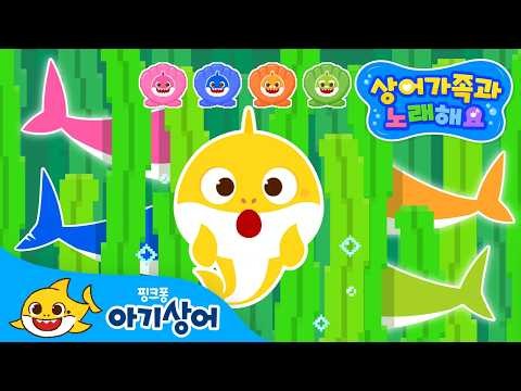 상어가족 숨바꼭질송 | 상어가족과 노래해요 | 꼭꼭 숨어라 | 찾았다! | 어린이 학습 동요 | 뚜루루뚜루 | 핑크퐁! 아기상어 올리
