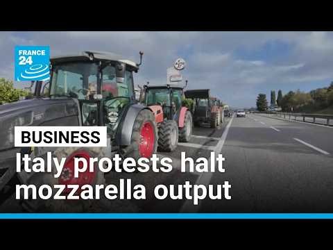 Italy's trucker protests halt buffalo mozzarella production, cost producers €3m • FRANCE 24 English