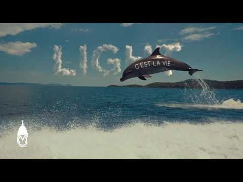 Light - C'est La Vie (Official Music Video)