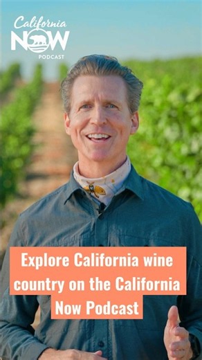 Inside California's Most Exclusive Wine Experiences #shorts