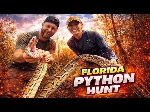 These Giant Iguanas and Pythons are TAKING OVER Florida!