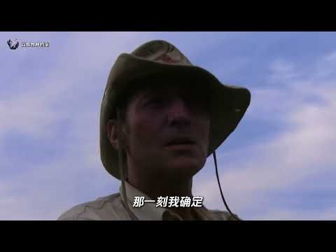 200+ Humans Killed The Untold Legend of Africa’s 20 Foot Monster Croc