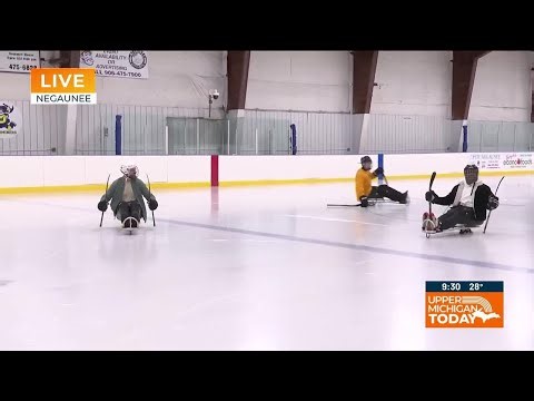 Upper Michigan Today - U.P. Sled Hockey