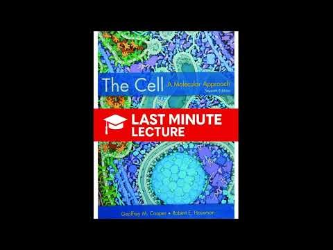 Cell Structure & Function | Part III – The Cell: A Molecular Approach (7th)
