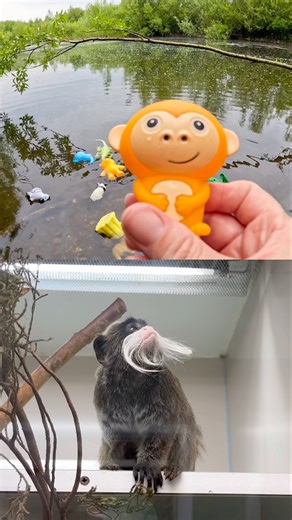 Animal Names | Kids Learn: Dog Red Panda Monkey Camel Rhino #HolidaysWithYouTube