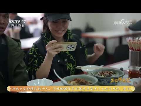 《三农群英汇》 20260429 春耕寻稻记 | 农业致富经 Agriculture And Farming