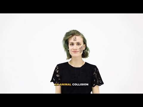 Complete Guide to Musk Ox Physical Capabilities Explained