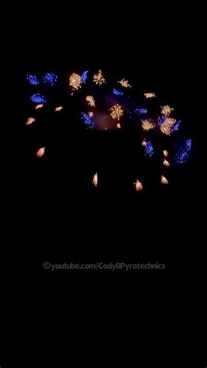 STUNNING Firework Shell W Ring Breaks #Fireworks #Firework #Pyro #Shorts