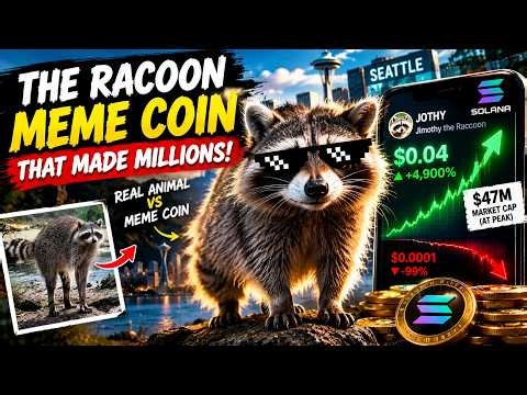 Jimothy the Raccoon: How a Viral Meme Became a $47 Million Crypto Coin! 🦝🚀