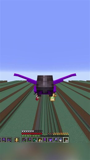 #minecraft #unstablesmp #wemmbu