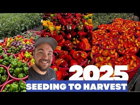 A Vegetable farmers 2025 Harvest - The Joys and Struggles