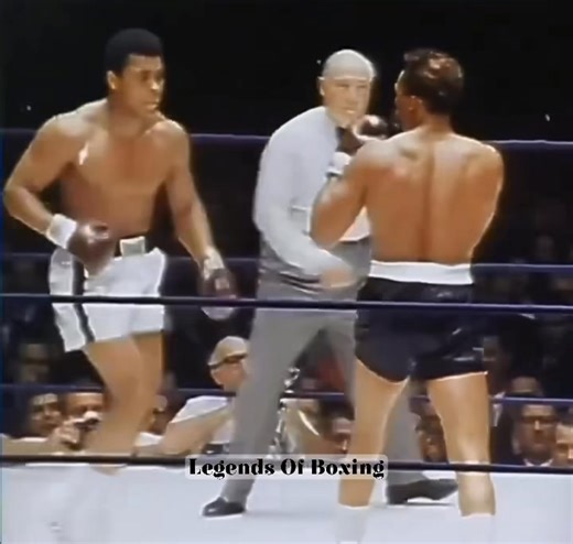 🥊🐐 MUHAMMAD ALI IN HIS PRIME WAS POETRY IN MOTION 🐐🥊 Float like a butterfly… sting like a bee. The footwork, the rhythm, the reflexes — he didn’t just box… he danced in the ring. 👑✨ #MuhammadAli #TheGreatest #GOAT #Boxing #BoxingHistory #BoxingLegends #HeavyweightBoxing #SweetScience #PoetryInMotion #FloatLikeAButterfly #FightNight #OldSchoolBoxing #RingIQ #Footwork #Legend | Legends Of Boxing